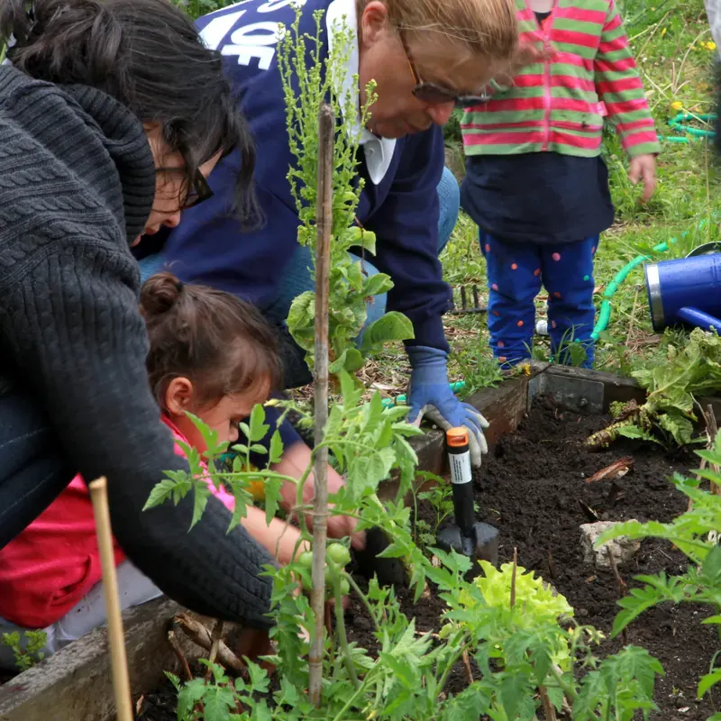 Des adultes et des enfants plantent ensemble des légumes dans un jardin partagé
